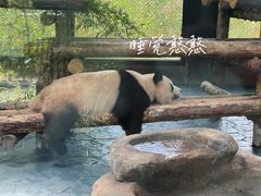 -上海野生动物园