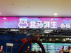 门面-盒马鲜生(宝地店)