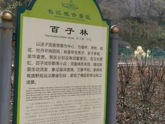 -幕燕滨江·长江观音景区