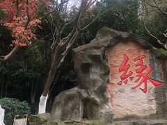 -杭州黄龙洞