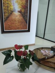 -薇兰专业脱毛连锁机构