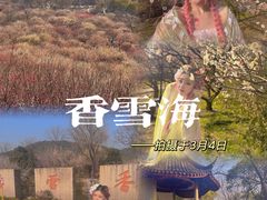 -香雪海