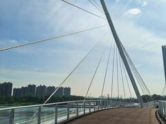 -映月湖中央公园