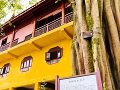 -涂山寺素食餐厅