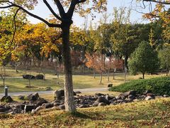 -白塘生态植物园
