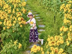 -上海杨姆庄园
