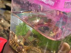 -青岛第三海水浴场