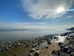 -深圳湾公园(南山区)