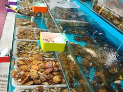-港畔赶海蒸汽海鲜烧烤自助(仙螺岛店)