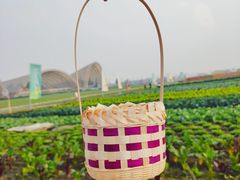 -中国天府农业博览园