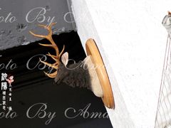 景观位-完美咖啡(建赏欧洲店)