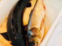 -江湖水乡铁锅炖魚(周庄嘉园店)