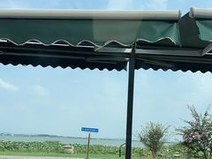 -七的湖·晚芳亭·阳澄湖农家菜·大闸蟹(莲花岛店)