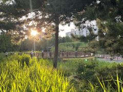 -元大都城垣遗址公园