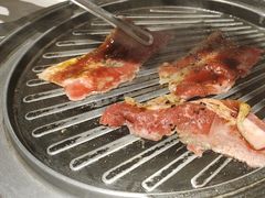 -山野的朋友露营炭火烤肉