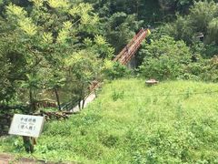 -鹅銮鼻公园