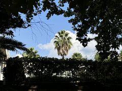 -昆明植物园