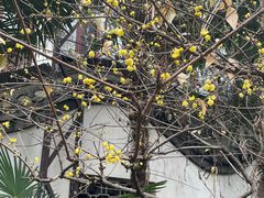 -南京民俗博物馆(甘熙故居)