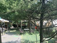 -尚庄度假村·庭台树下·户外烧烤·团建CS·轰趴营地(上庄水库店)