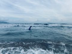 -三亚湾海居铂尔曼度假酒店