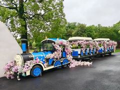 -上海鲜花港