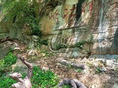 -铁山坪森林公园