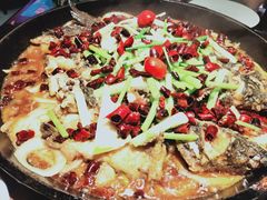-老板恋上鱼(高新万达店)