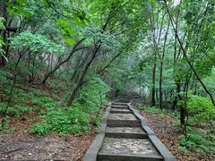 -大连天门山国家森林公园