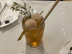 -奇纳百川