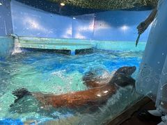 -太平洋海底世界