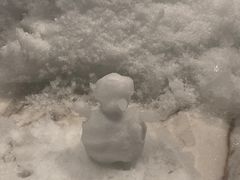 -北方暖暖温泉洗浴(沈阳北站店)