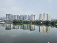 -三圣花乡旅游区