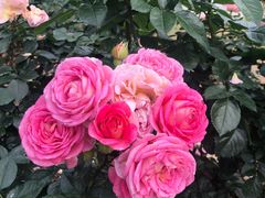 -人民公园(罗湖区)