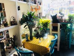 -Kitchen·Y洋厨房西餐厅(王府壹号店)