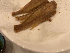 -熠盛·本帮菜Bistro(永嘉路店)
