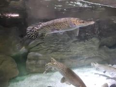 -多彩贵州城极地海洋世界