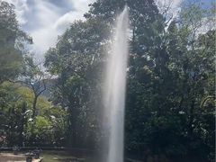 -九龙公园