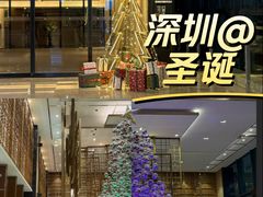 -深圳机场凯悦酒店