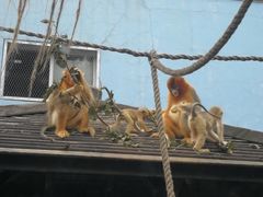 -大连森林动物园