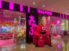 -BIG PINK大粉娃娃机主题馆(圆融星座店)