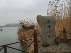 -溱湖国家湿地公园
