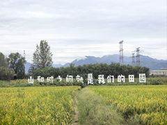 -林间山庄