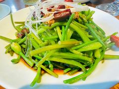 -菌自由丨野生菌火锅特色庭院餐厅(丽江古城店)