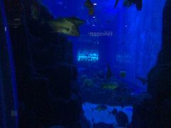 -成都浩海立方海洋公园