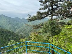 -四明山国家森林公园