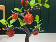 -椿记烧鹅(叠彩店)