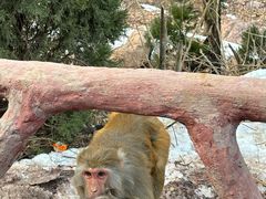 -环翠峪风景区