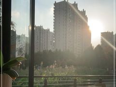 -昆山城市生态森林公园