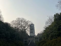 -宜兴龙背山森林公园