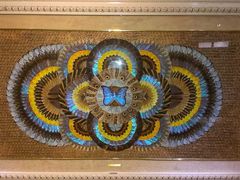 上海昆虫博物馆-上海昆虫博物馆